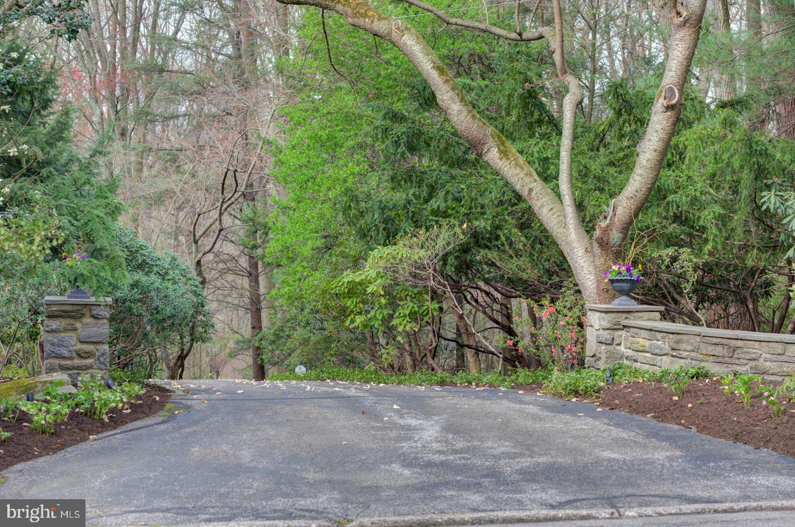 723 Glengarry Road Philadelphia, PA 19118 - Photo 30 of 30 Gallery Image 30
