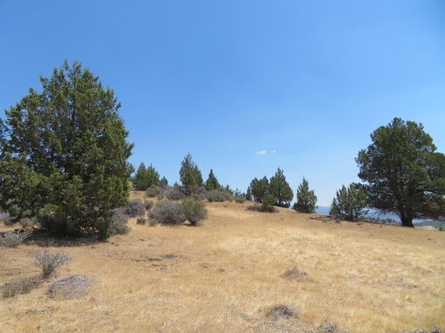 Lot 185 Iron Gate Road Hornbrook, CA 96044 - Photo 3 of 8 Gallery Image 3