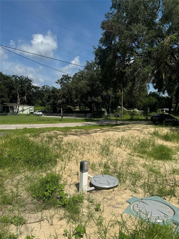 4088 Wajer Road Land O Lakes, FL 34638 - Photo 3 of 4