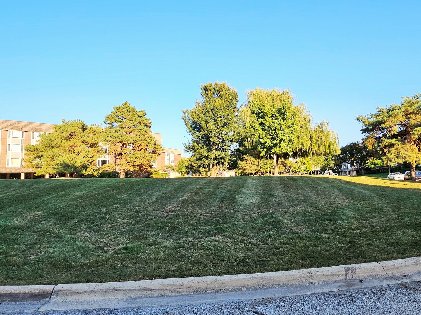 200 Thames Parkway, Unit 1K Park Ridge, IL 60068 - Photo 5 of 5 a view of a green yard