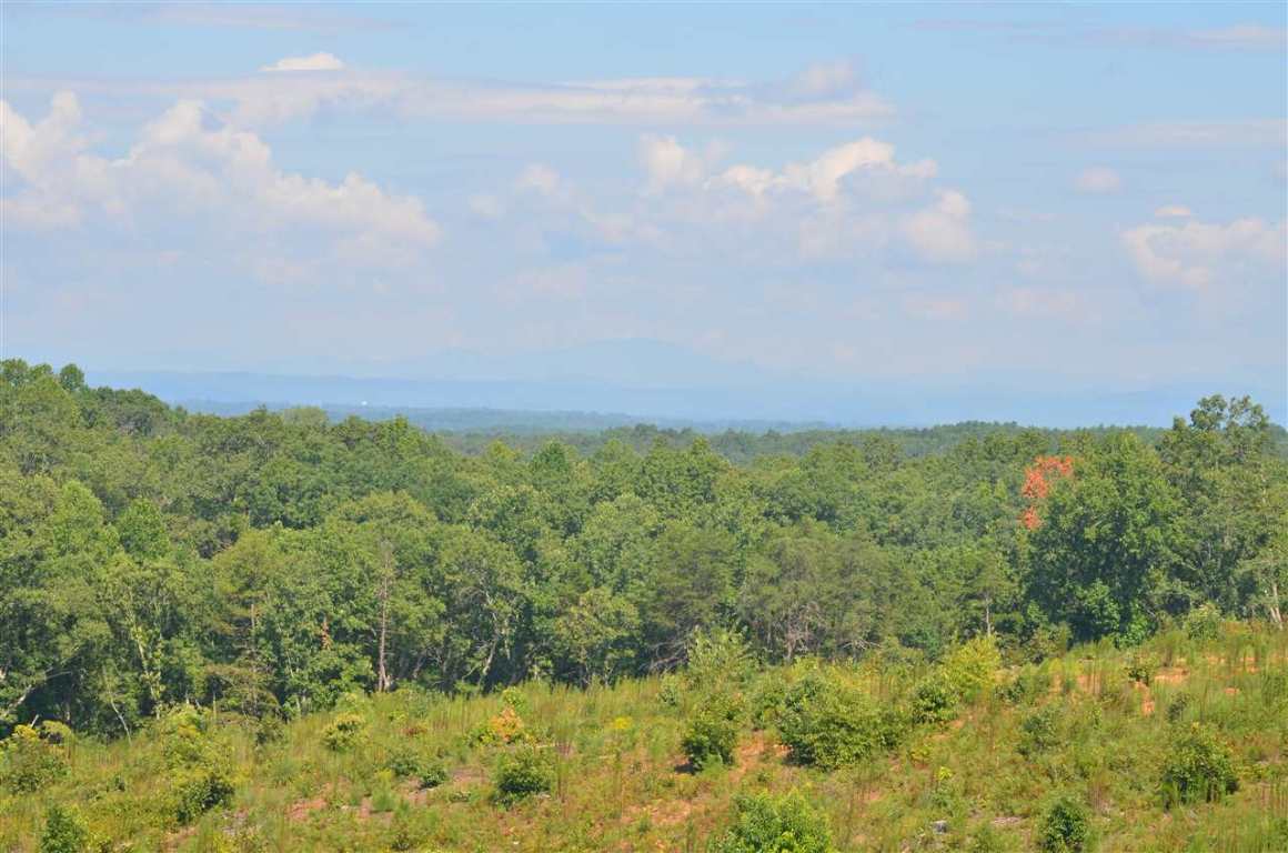 321 Lawrence Bridge Road Seneca, SC 29672 - Photo 24 of 35 Gallery Image 24