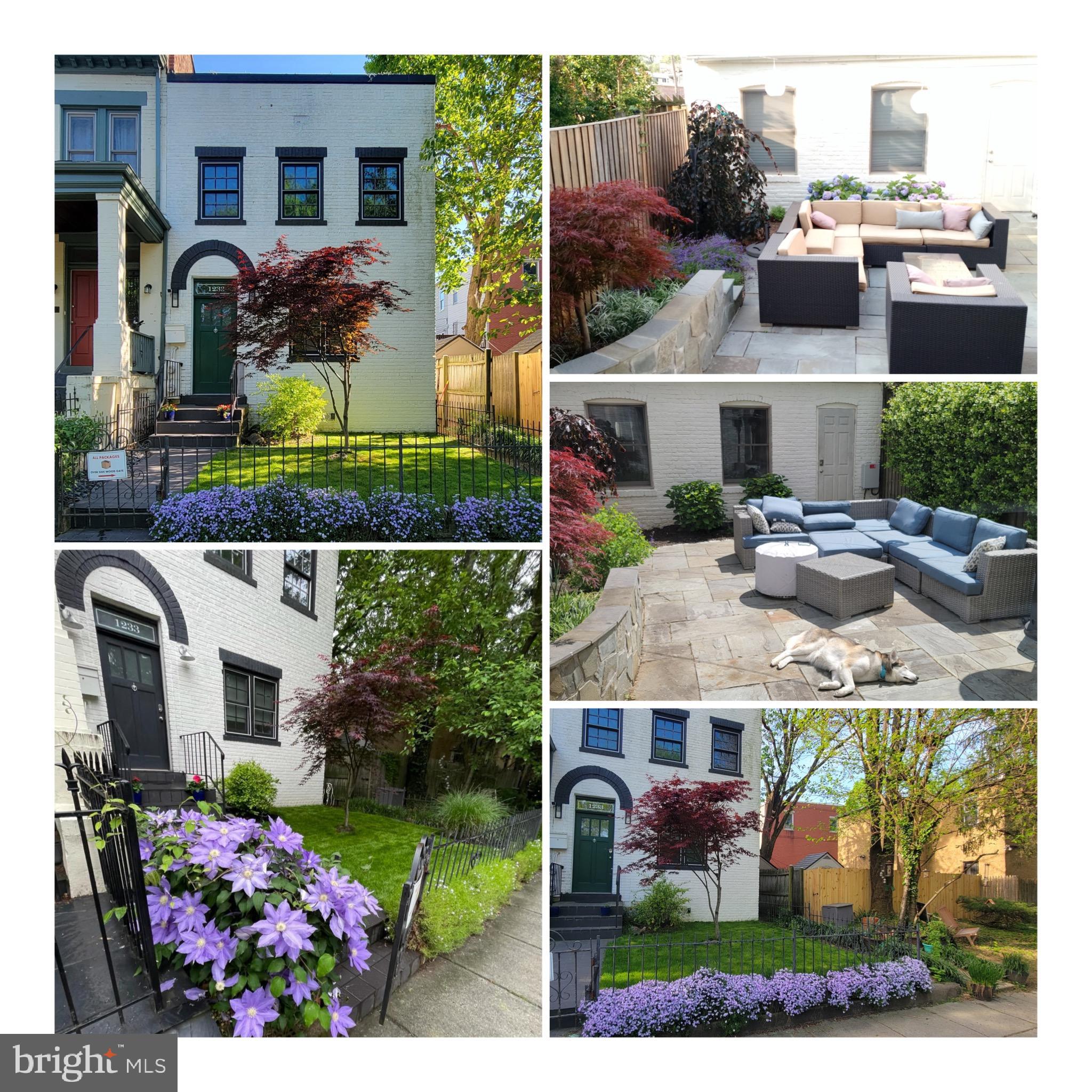 1233 C Street Southeast Washington, DC 20003 - Photo 8 of 9