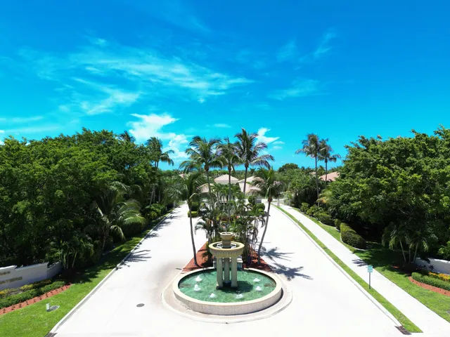 a swimming pool with potted plants
