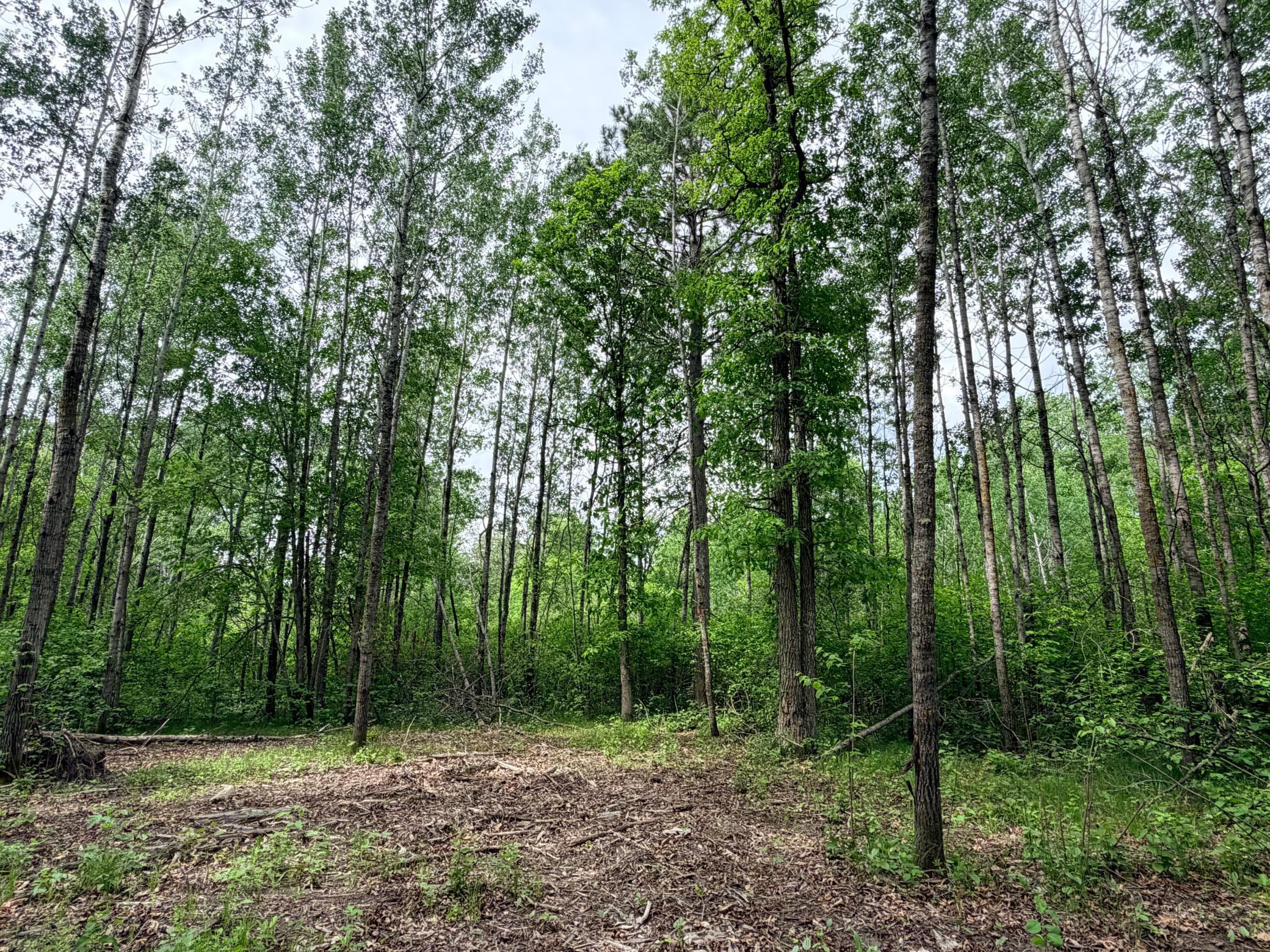 Tbd Half Moon Road Park Rapids, MN 56470 - Photo 6 of 12