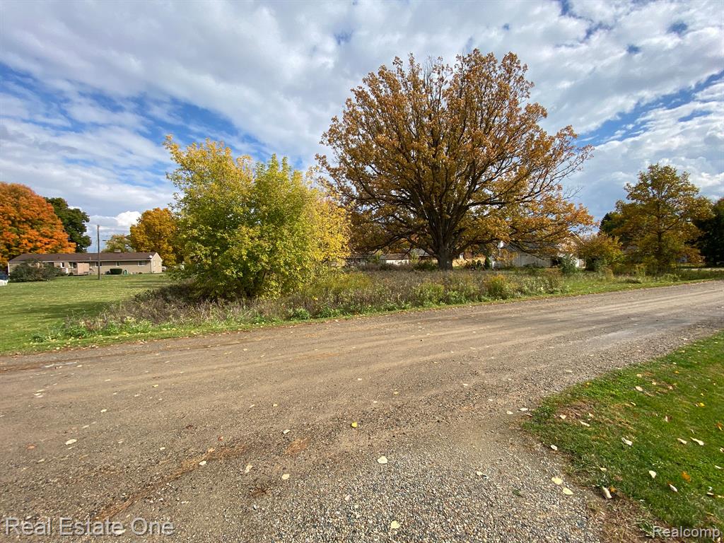 Vl Meadowlawn Road Fowlerville, MI 48836 - Photo 9 of 9