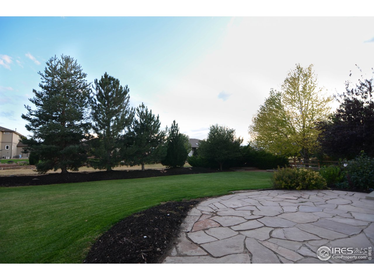 1797 Ridge W Drive Windsor, CO 80550 - Photo 31 of 33 a view of a park with large trees