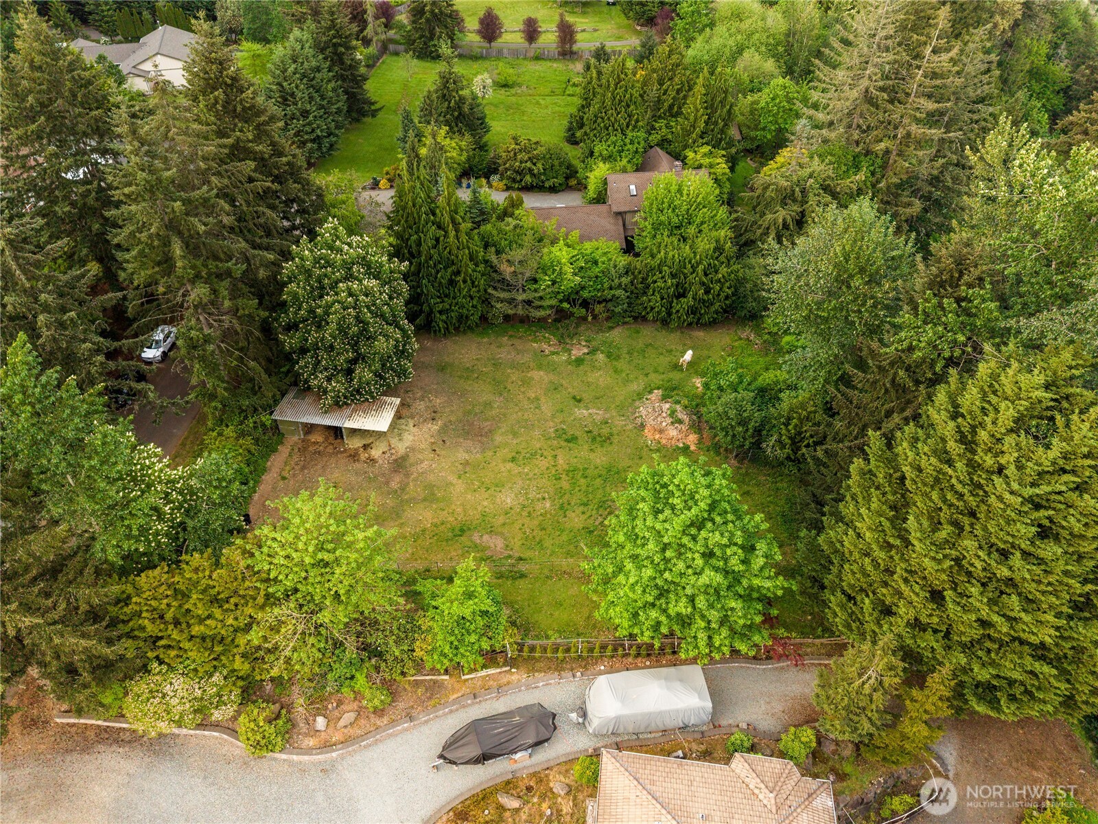 23519 Rim Road Graham, WA 98338 - Photo 14 of 23 view of a garden with plants