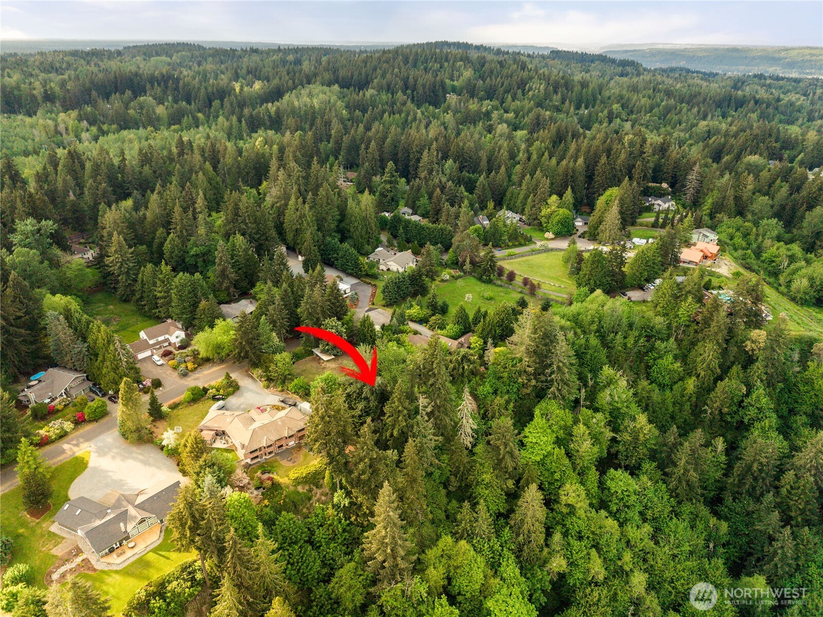 23519 Rim Road Graham, WA 98338 - Photo 17 of 23 a view of a bunch of trees and bushes