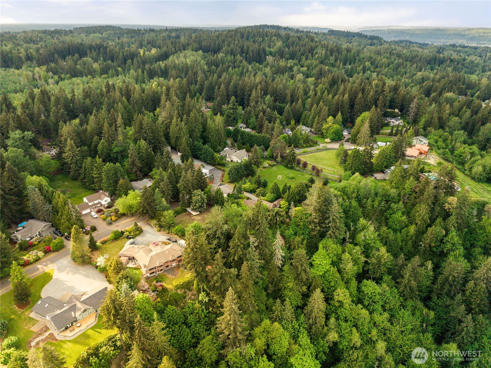 23519 Rim Road Graham, WA 98338 - Photo 18 of 23 a view of a forest with a street