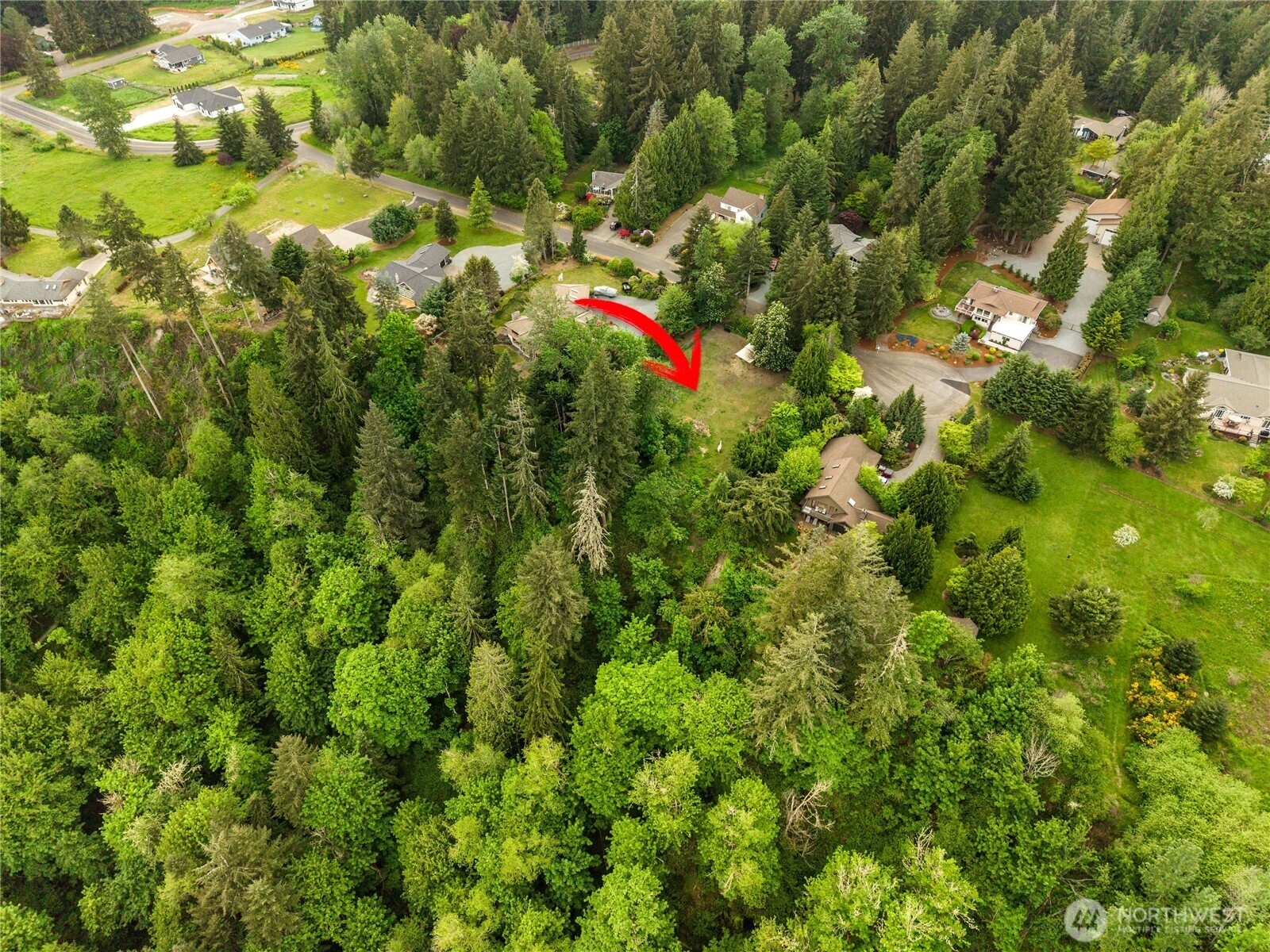 23519 Rim Road Graham, WA 98338 - Photo 20 of 23 a view of a yard