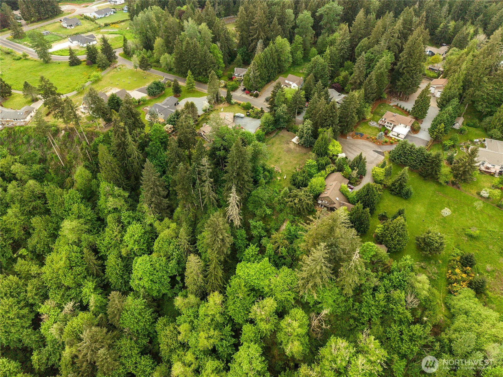 23519 Rim Road Graham, WA 98338 - Photo 21 of 23 a view of a tree