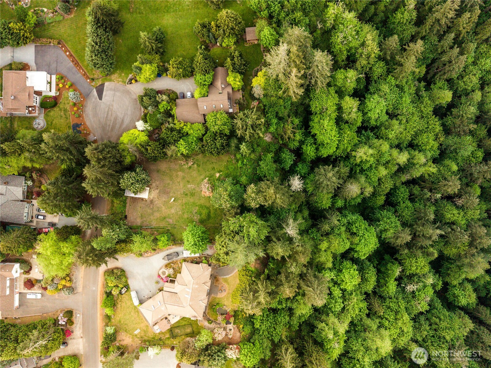 23519 Rim Road Graham, WA 98338 - Photo 22 of 23 a view of a yard with plants
