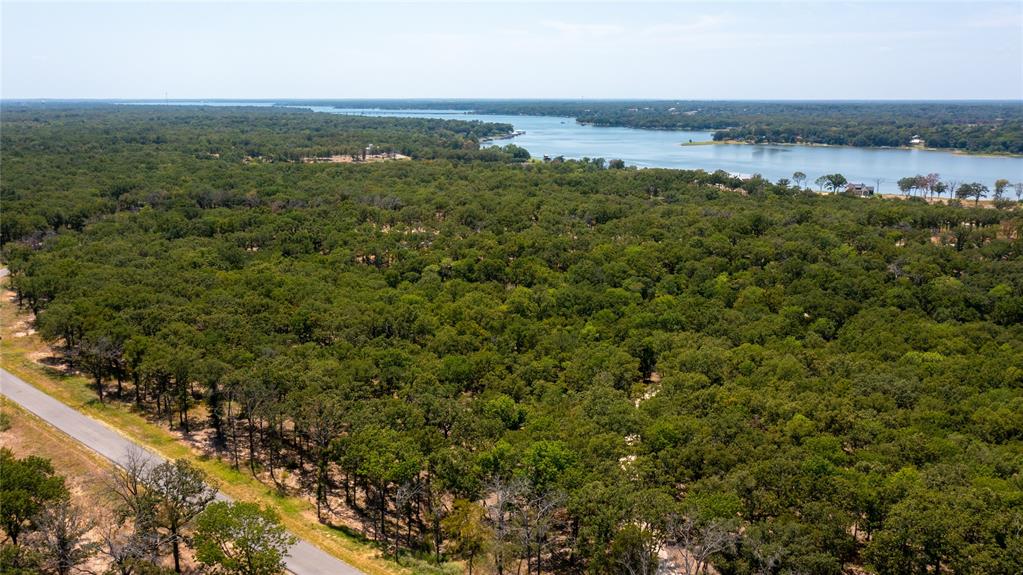 7321 Ranch Oaks Trail Malakoff, TX 75148 - Photo 16 of 21 an aerial view of a houses with outdoor space and trees