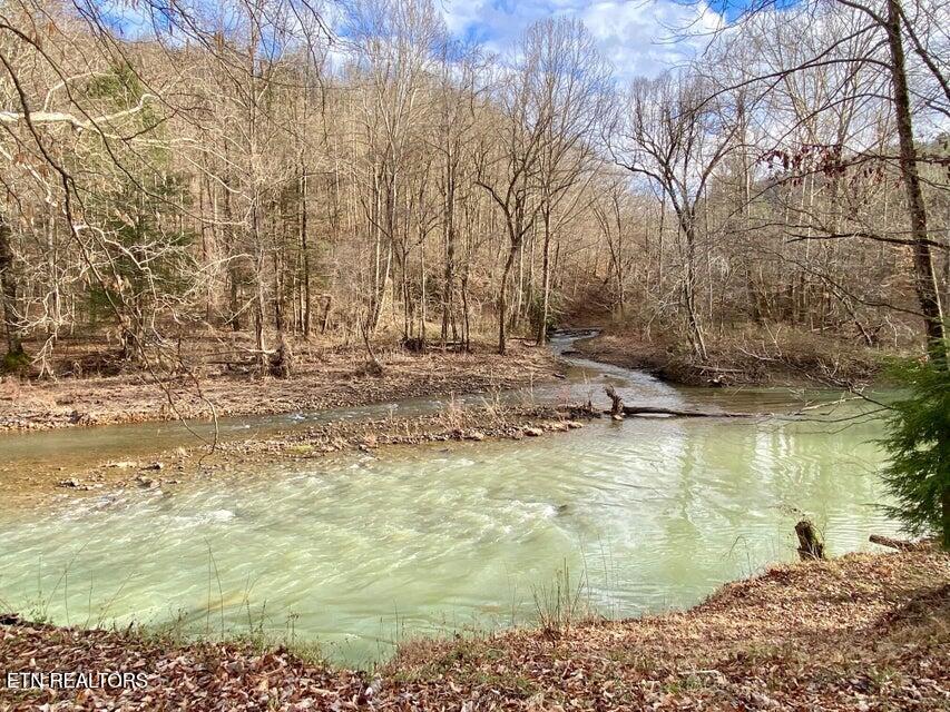 217 Saw Mill Lane Duff, TN 37729 - Photo 5 of 6 saw mill creek