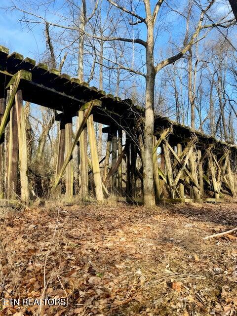 217 Saw Mill Lane Duff, TN 37729 - Photo 6 of 6 saw mill tressel