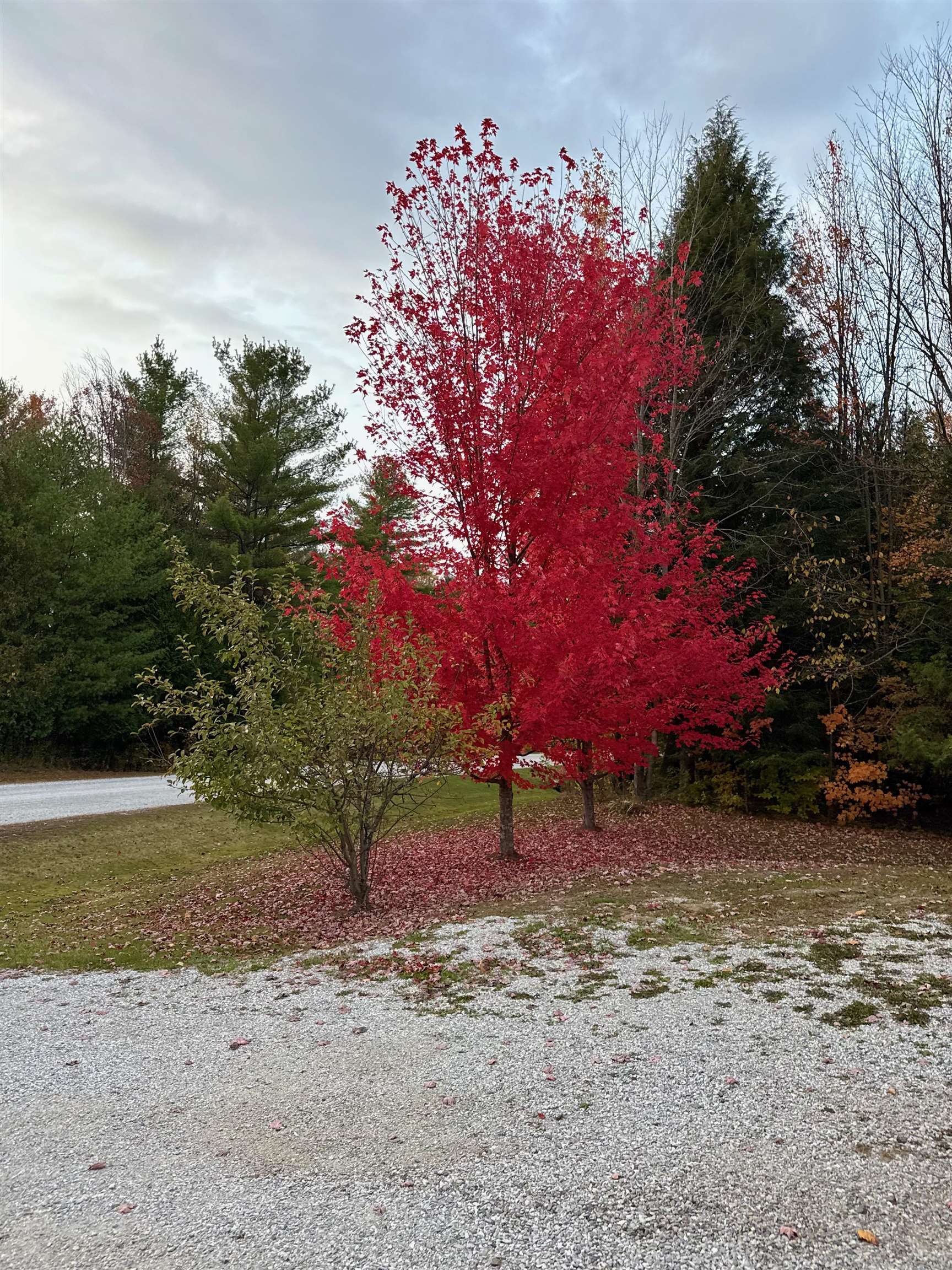 34 Gaudette Farm Road Fairfax, VT 05454 - Photo 31 of 35