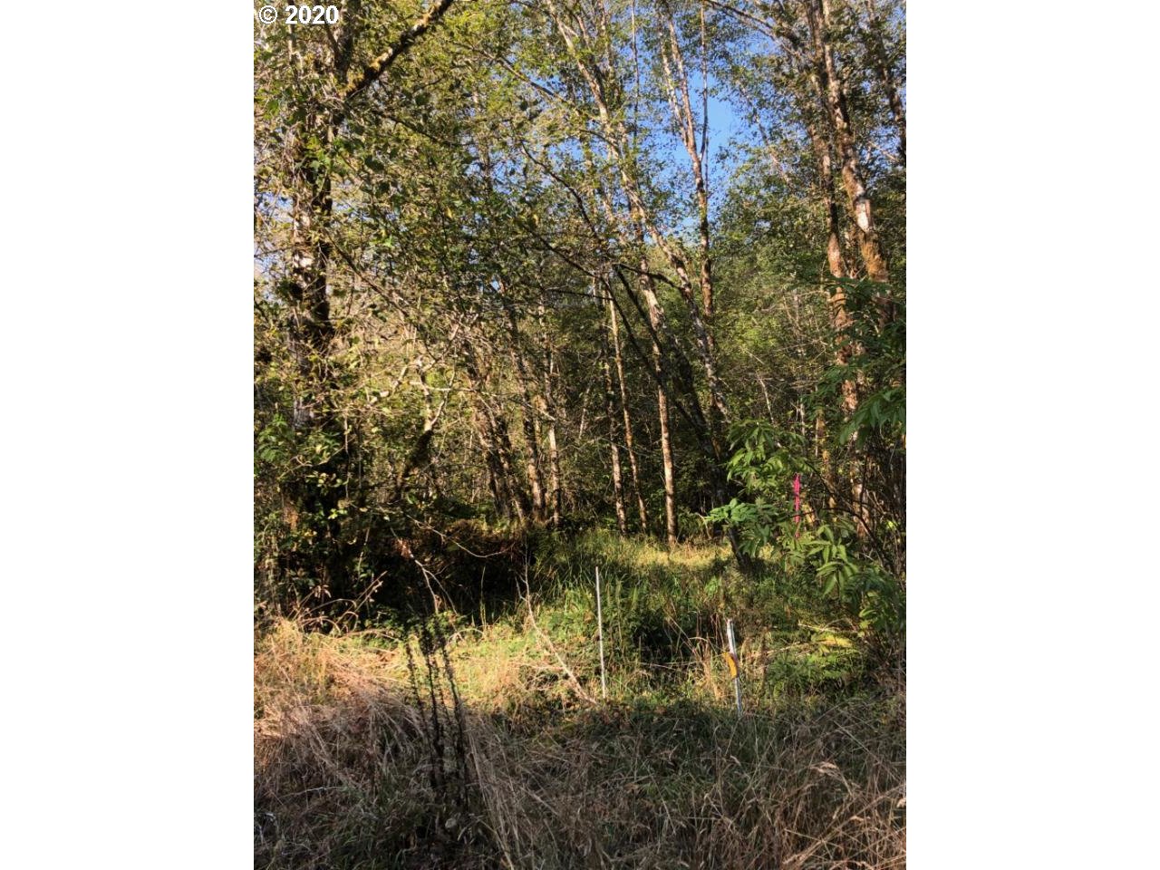 0 Abernathy Creek Road Longview, WA 98632 - Photo 3 of 6 Gallery Image 3