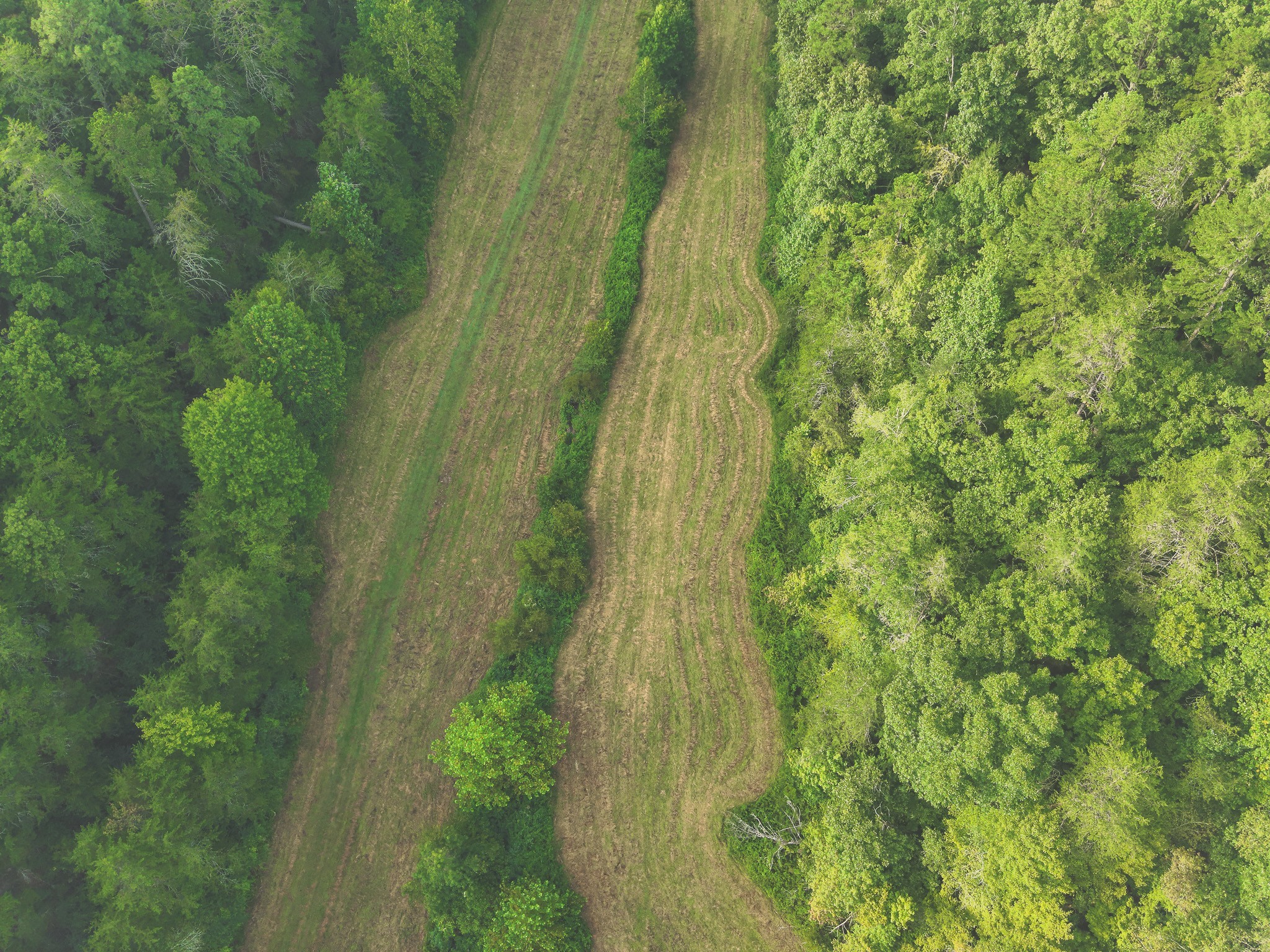 1634 Dixon Branch Road Sevierville, TN 37876 - Photo 24 of 86 Gallery Image 24