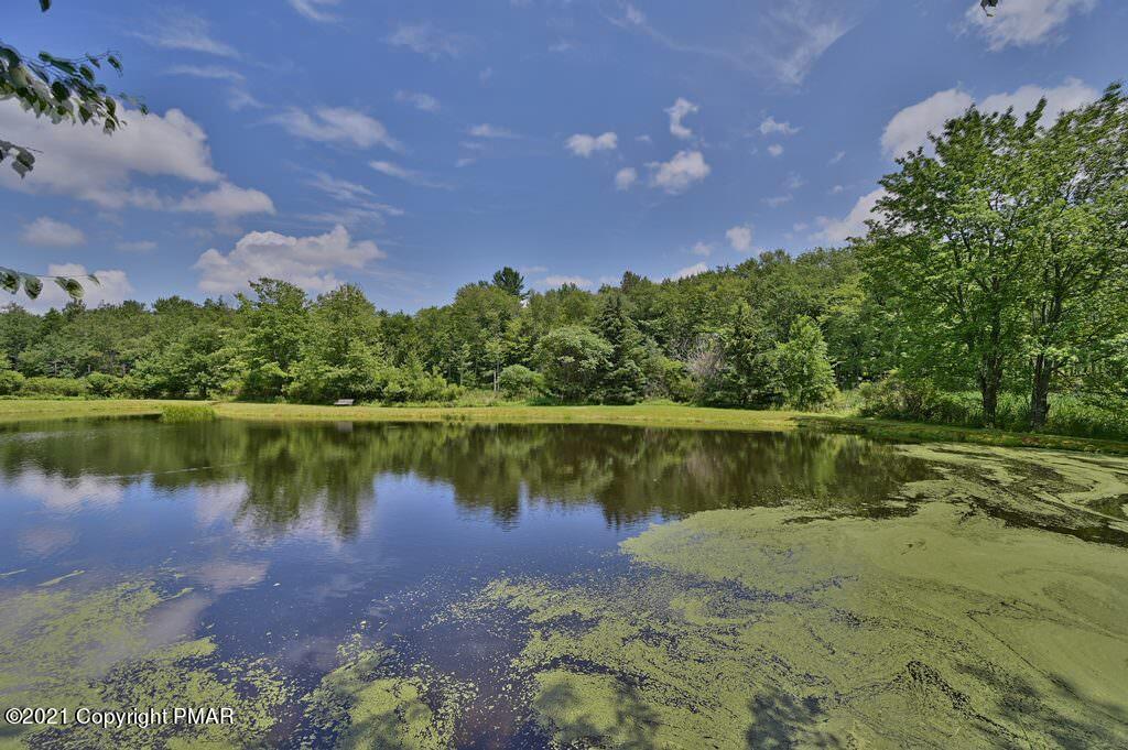 775 Goose Pond Road Lake Ariel, PA 18436 - Photo 2 of 68 Photo 02