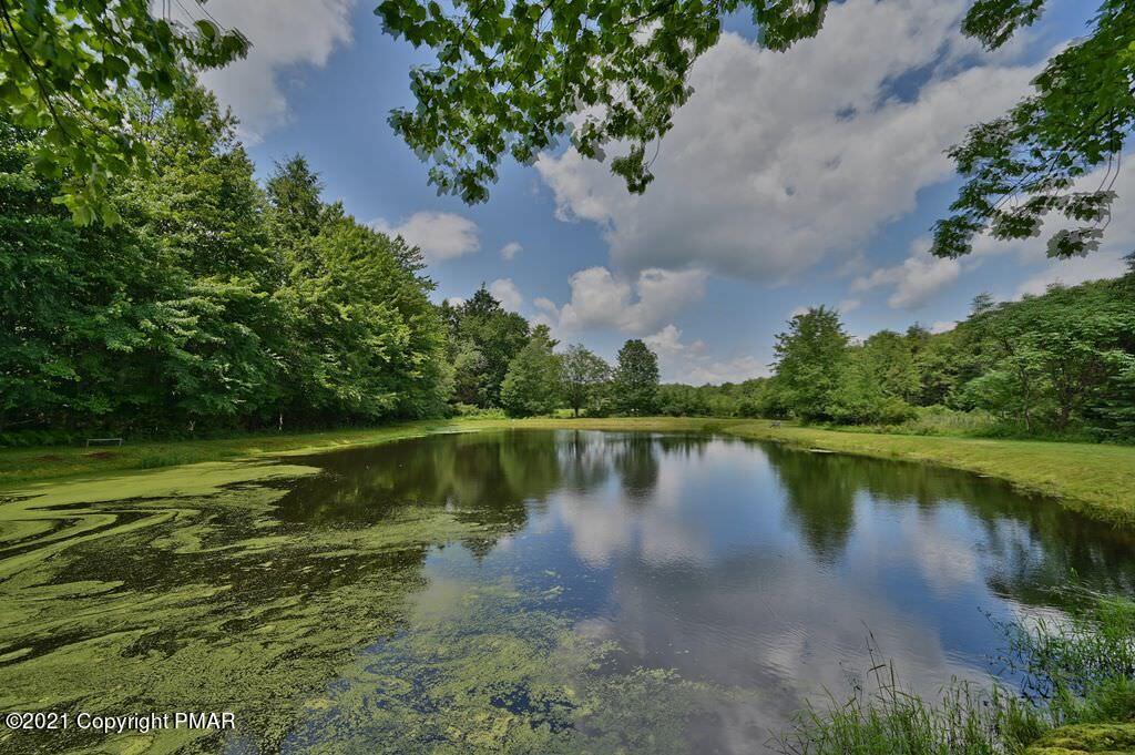 775 Goose Pond Road Lake Ariel, PA 18436 - Photo 3 of 68 Photo 03