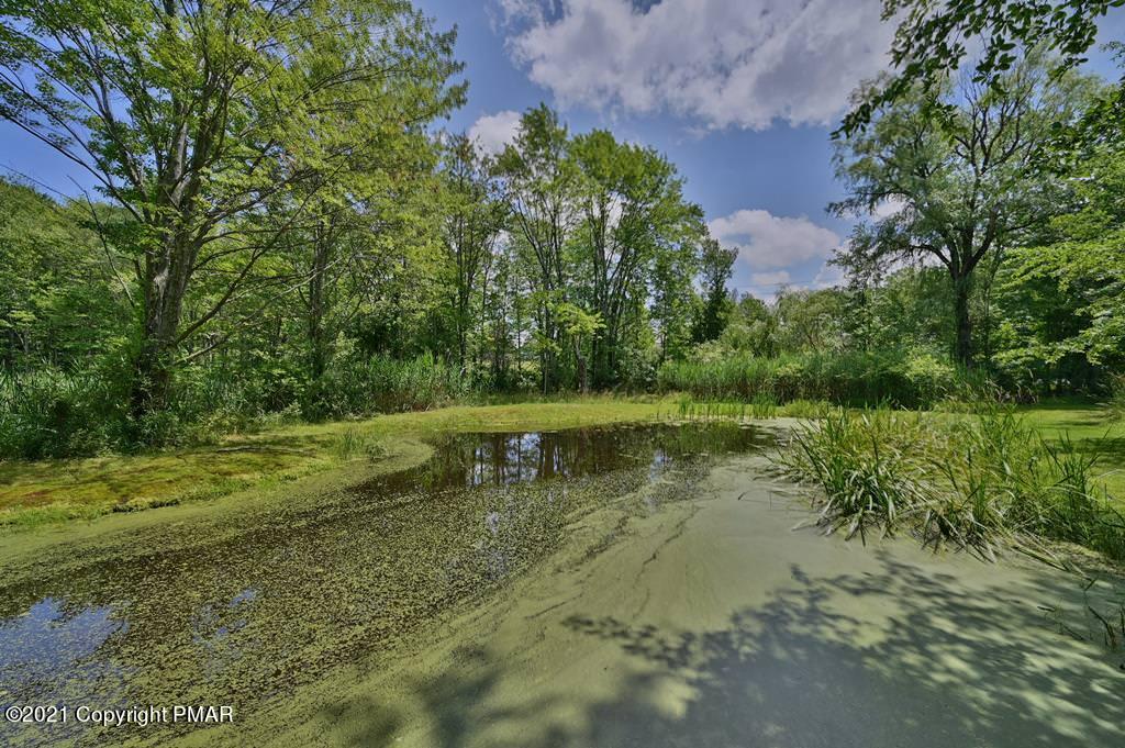 775 Goose Pond Road Lake Ariel, PA 18436 - Photo 51 of 68 Photo 51