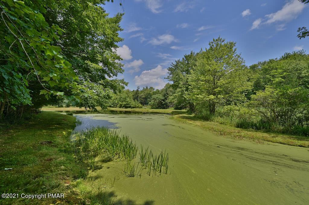 775 Goose Pond Road Lake Ariel, PA 18436 - Photo 52 of 68 Photo 52