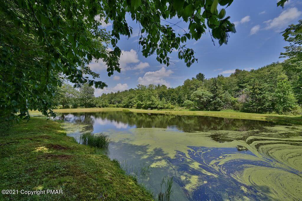 775 Goose Pond Road Lake Ariel, PA 18436 - Photo 53 of 68 Photo 53