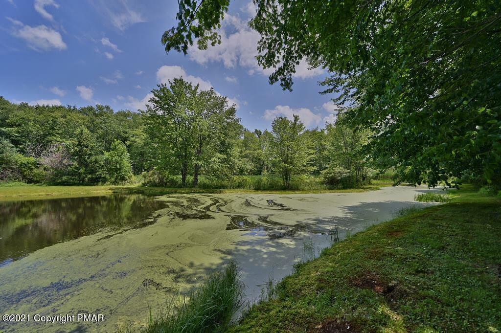 775 Goose Pond Road Lake Ariel, PA 18436 - Photo 54 of 68 Photo 54