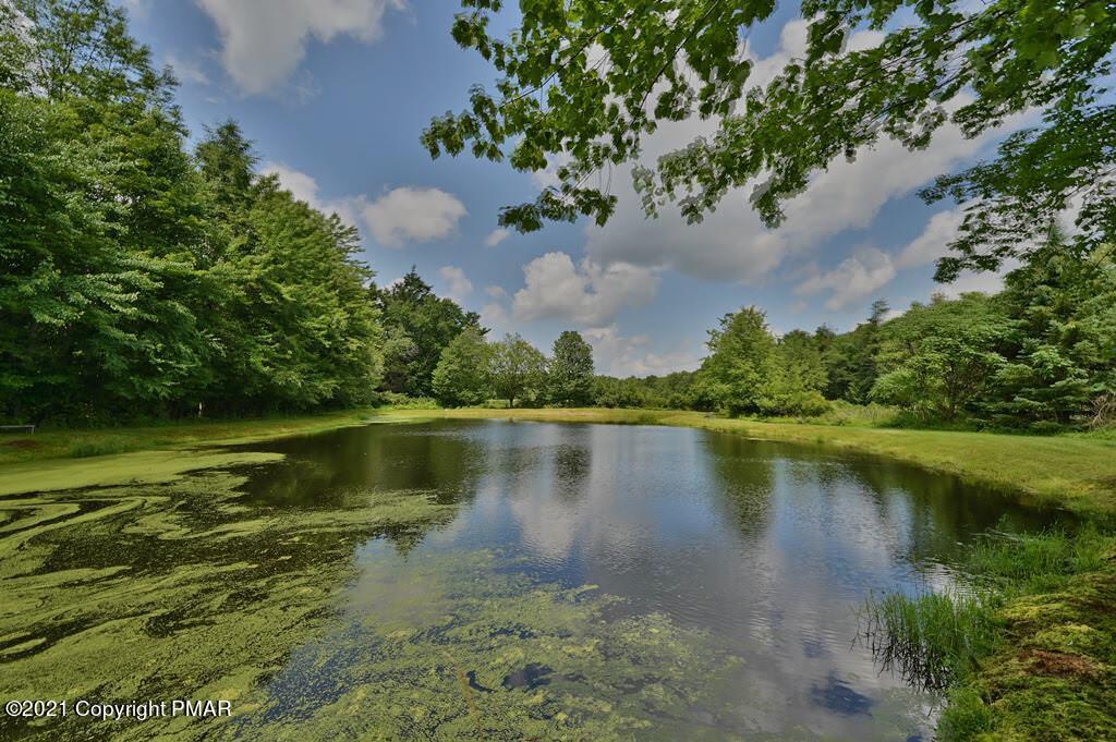 775 Goose Pond Road Lake Ariel, PA 18436 - Photo 63 of 68 Photo 63