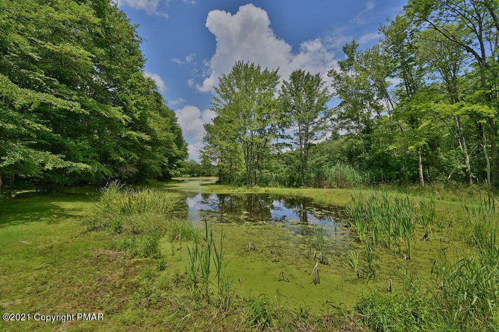 775 Goose Pond Road Lake Ariel, PA 18436 - Photo 64 of 68 Photo 64