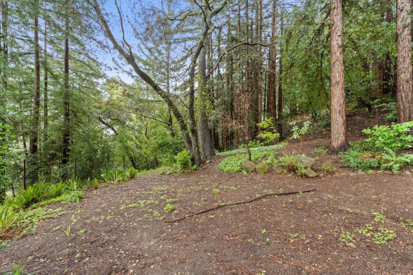 555 Summit Spring Road Woodside, CA 94062 - Photo 78 of 90