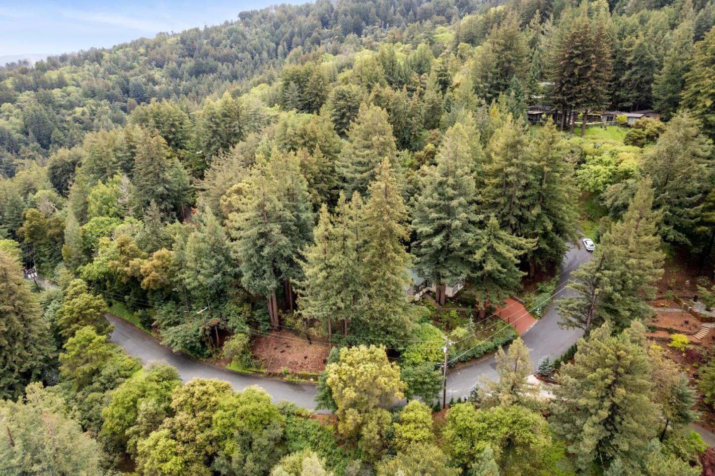555 Summit Spring Road Woodside, CA 94062 - Photo 86 of 90 a view of a forest with a house