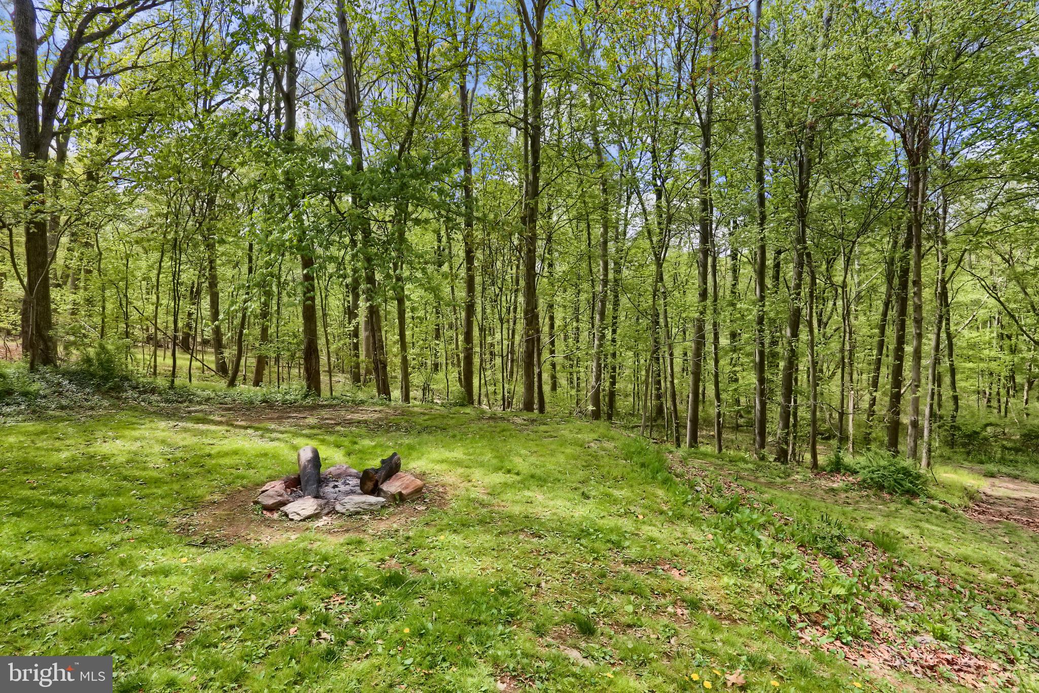 4840 Carea Road White Hall, MD 21161 - Photo 42 of 49 Fire Pit