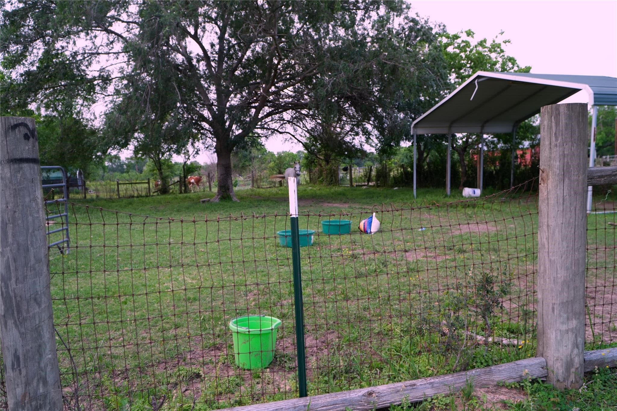 24206 Longenbaugh Road Katy, TX 77493 - Photo 43 of 43