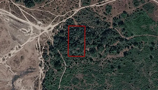 a view of a pathway of a building