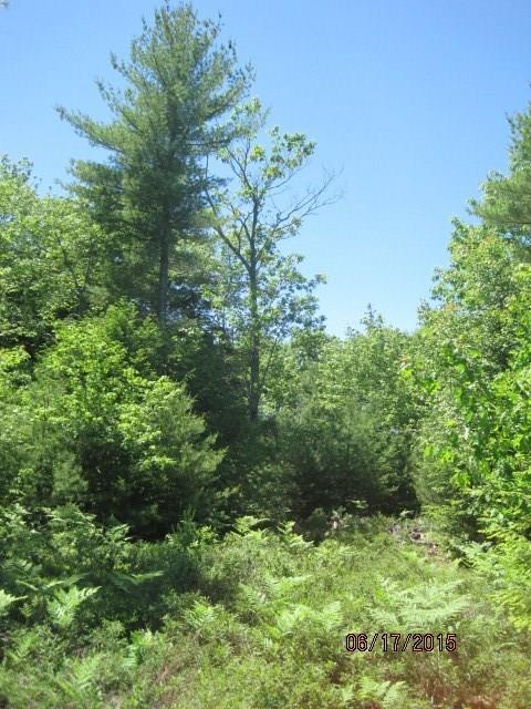 Lot 6 Young Road Lisbon, ME 04250 - Photo 9 of 16 Banks of trees add privacy.