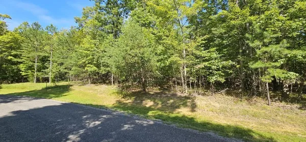 a view of yard with green space and trees in the background