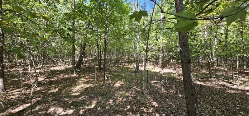 327 Two Lake Trail Dunlap, TN 37327 - Photo 8 of 13