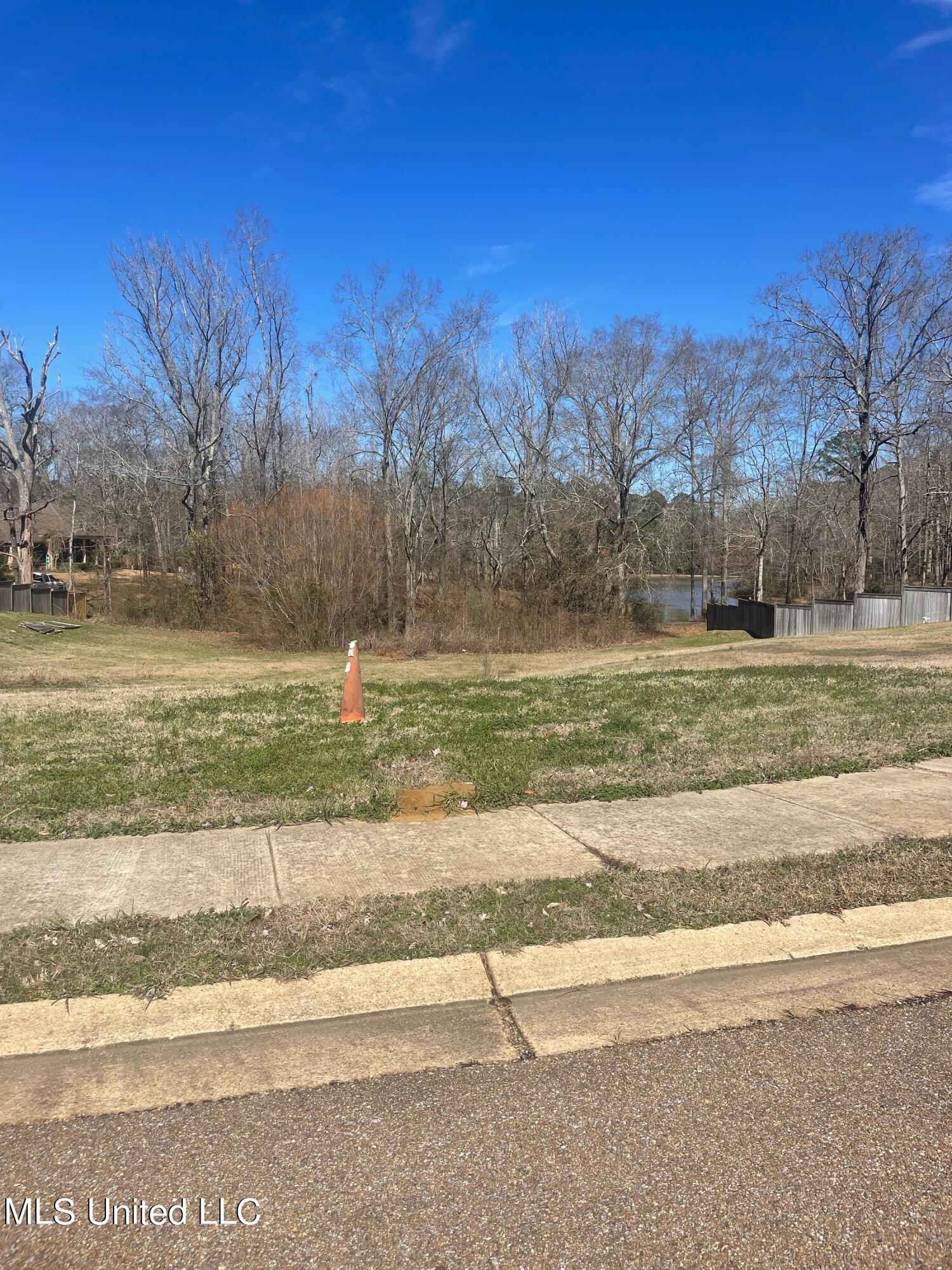 Julee Circle Brandon, MS 39042 - Photo 1 of 1 Lot 2
