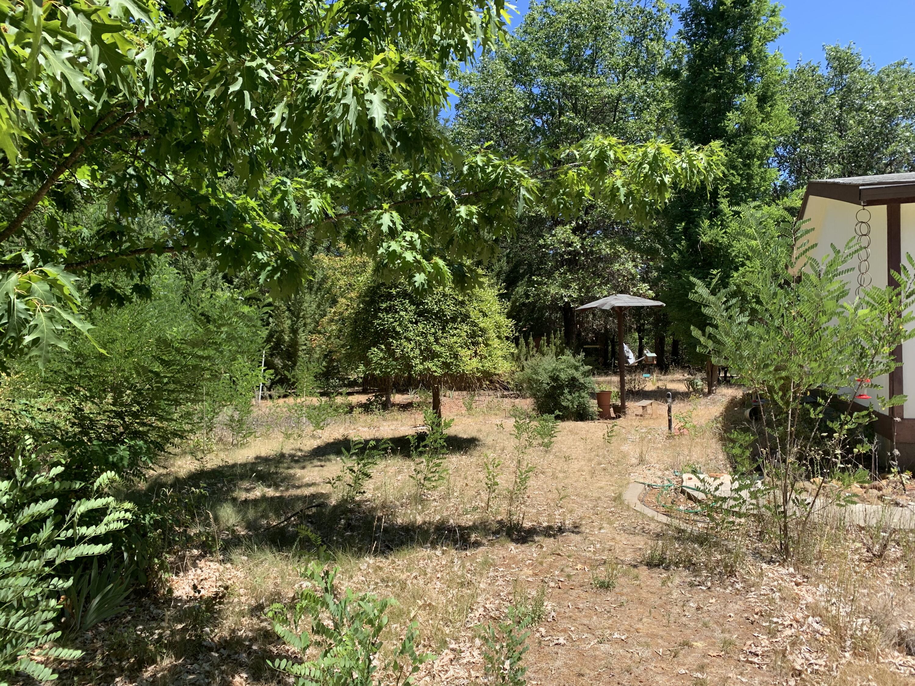 3370 Rockydale Road Cave Junction, OR 97523 - Photo 31 of 32 Side yard