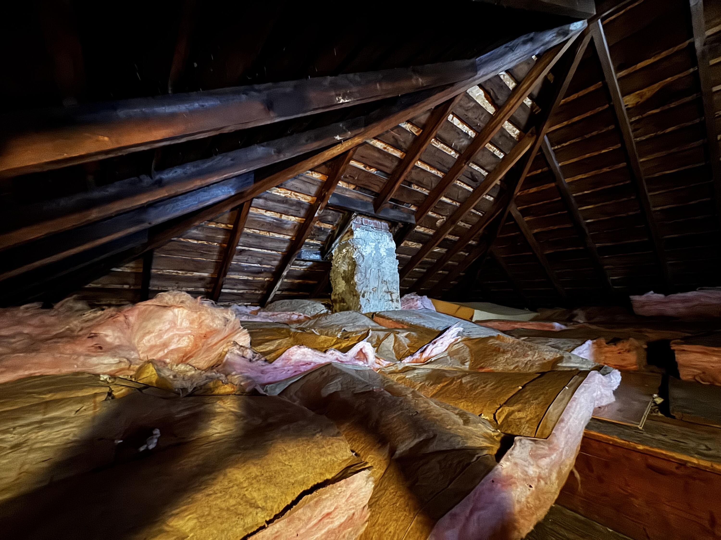 406 Garfield Street Jackson, MI 49203 - Photo 28 of 32 Photo Dec 09 2025, 12 54 06 PM