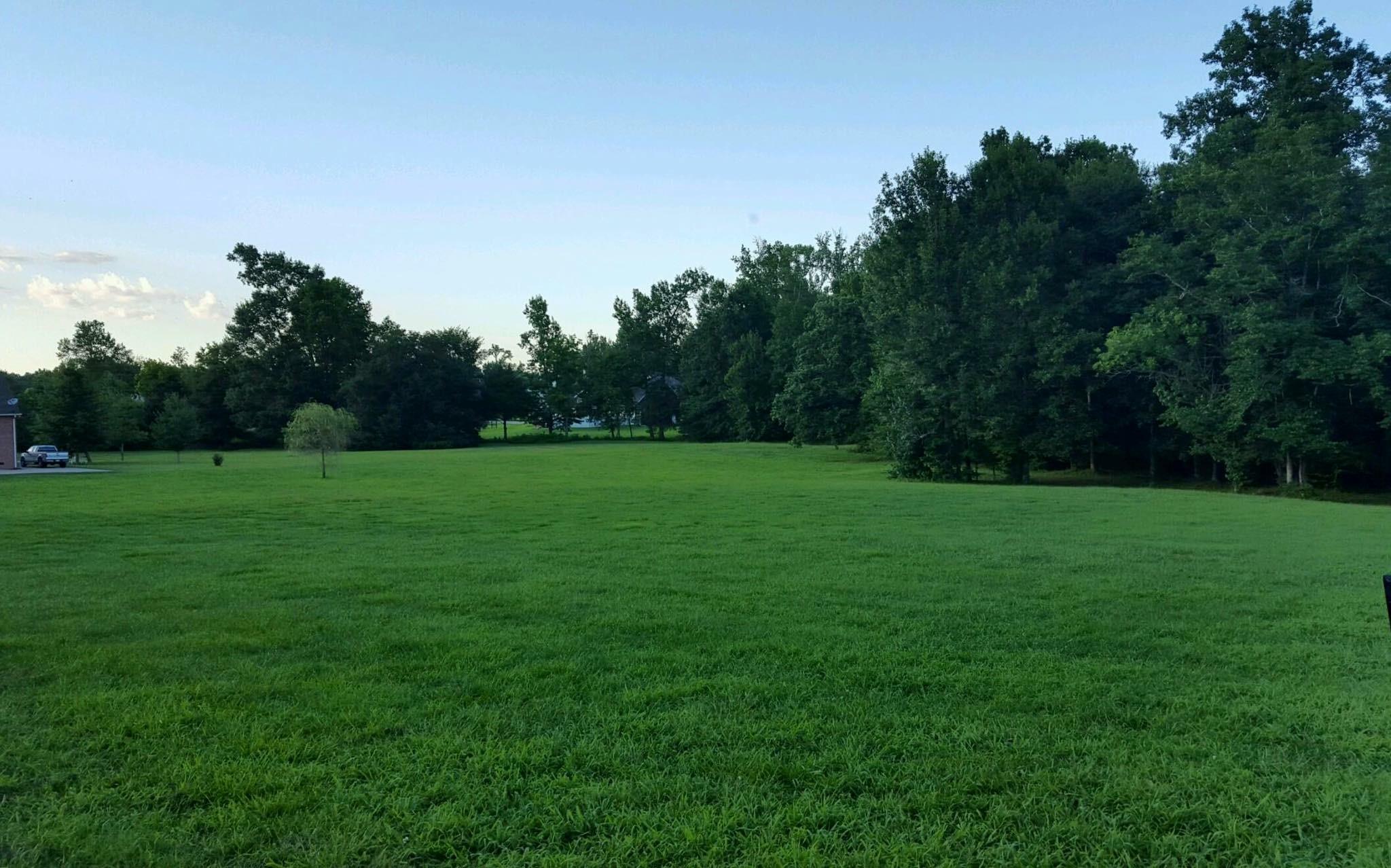 0 Cedar Grove Road Lebanon, TN 37087 - Photo 1 of 2 a view of a grassy field