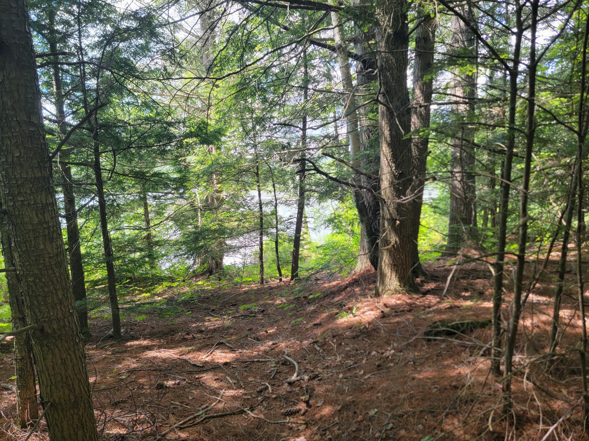 477 Hadley Mill Road Jackson, ME 04921 - Photo 4 of 32