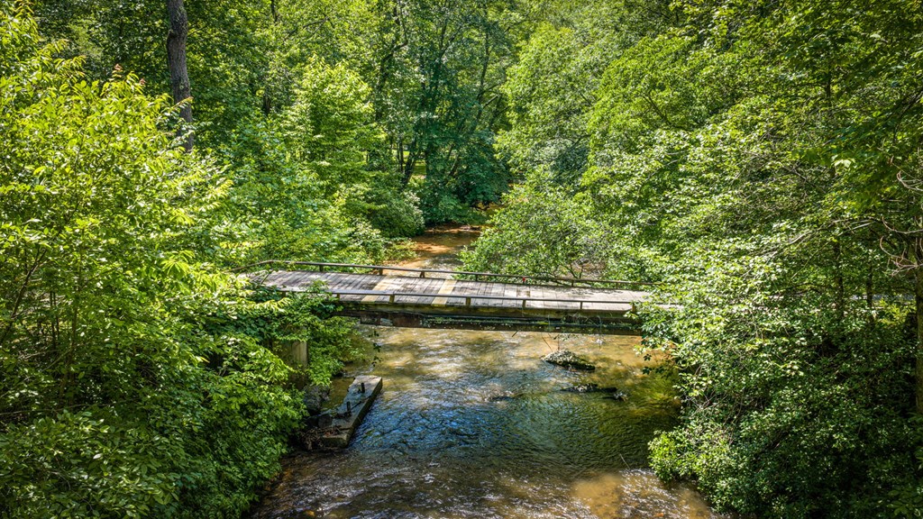 2977 Highway 2 Blue Ridge, GA 30513 - Photo 49 of 89