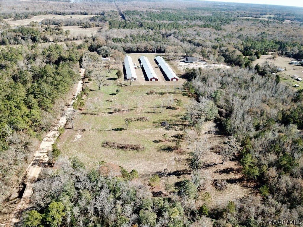 2799 Alford Road Samson, AL 36477 - Photo 31 of 35 Gallery Image 31