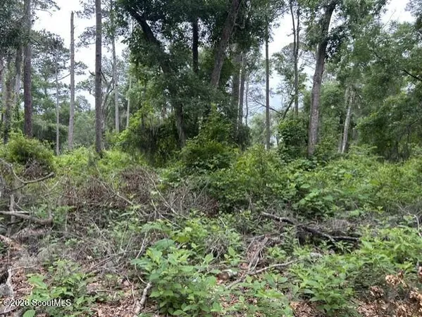 $45,000 | 9-lot Hudson Crk Court Southeast, Unit TOLOMATO ISLAND, Darien, GA 31305