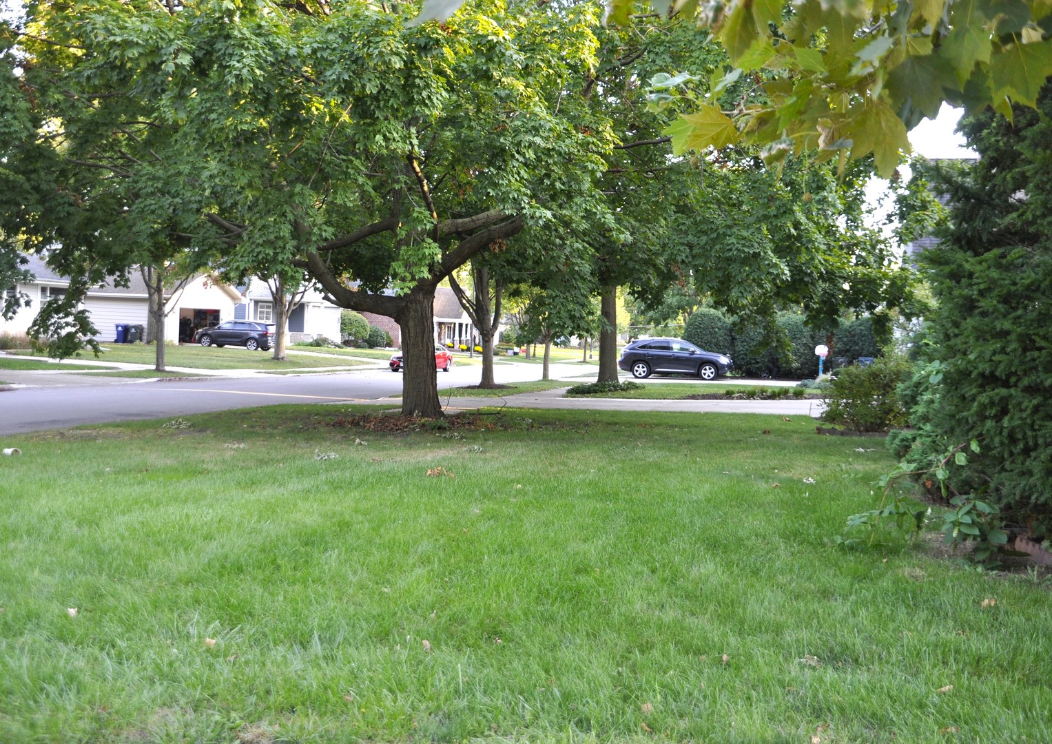 110 West 12th Avenue Naperville, IL 60563 - Photo 4 of 21 a view of yard with green space and trees