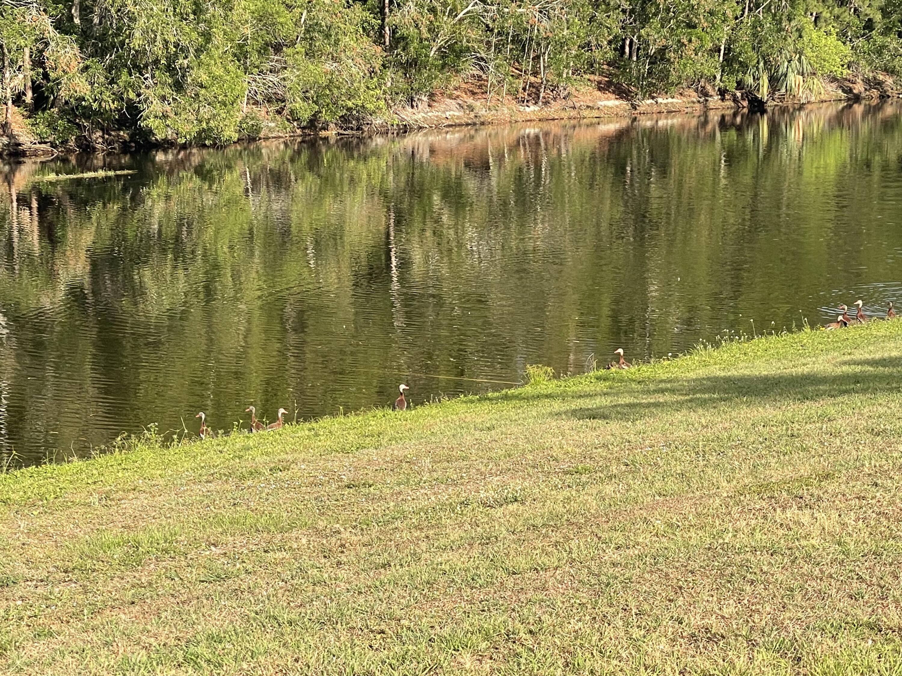 145 Southwest Hawthorne Circle Port St. Lucie, FL 34953 - Photo 36 of 37 a view of swimming pool of a yard