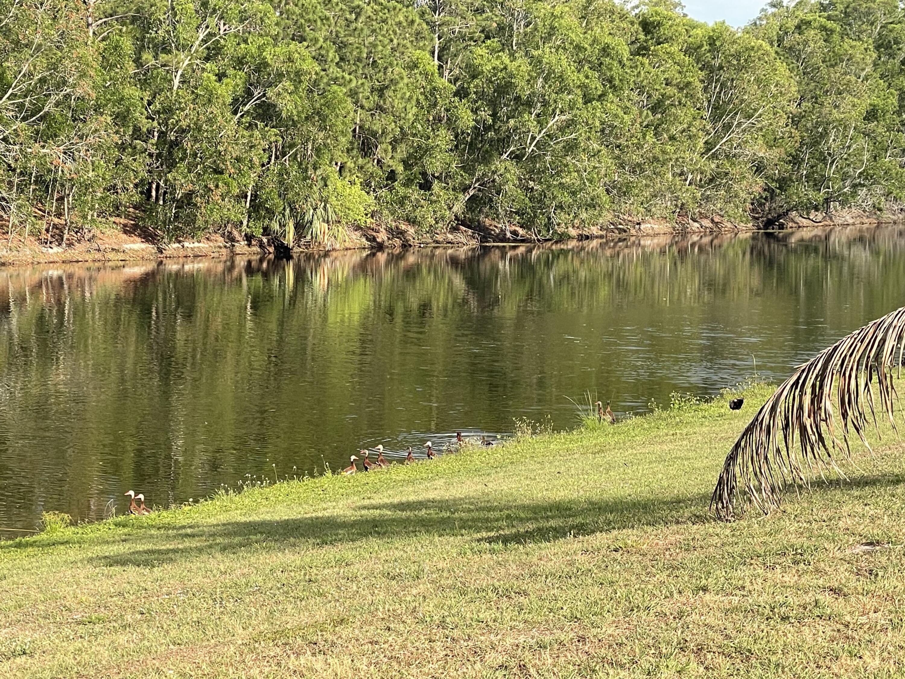 145 Southwest Hawthorne Circle Port St. Lucie, FL 34953 - Photo 37 of 37 a view of a lake view