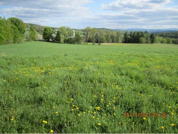 1529 North Ridge Road Randolph, VT 05061 - Photo 7 of 25